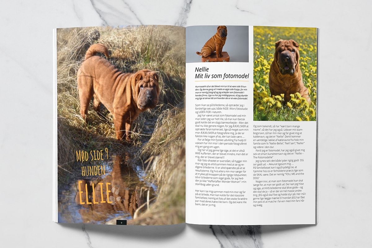 Sharpei Hundeklub medlemsblad